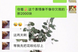 新华贷款清欠服务